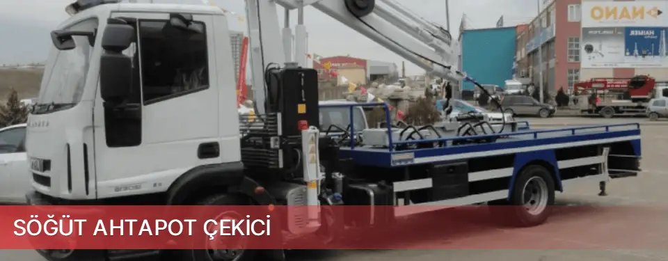 Söğüt İlçemi Ahtapot Çekici