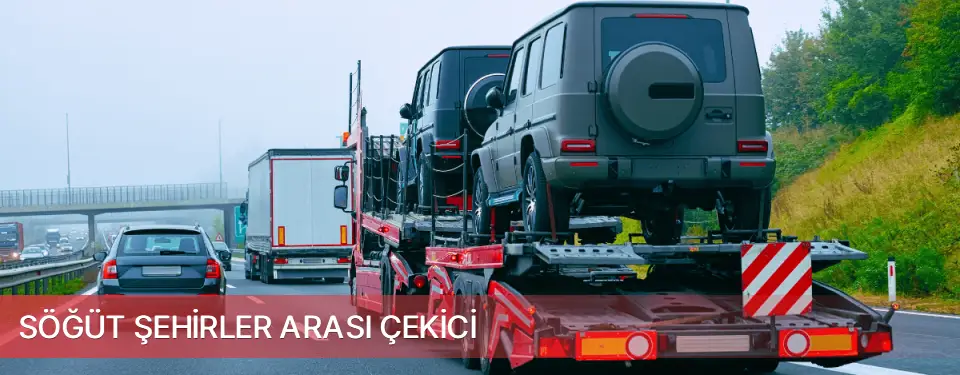 Söğüt İlçemi Şehirler Arası Çekici