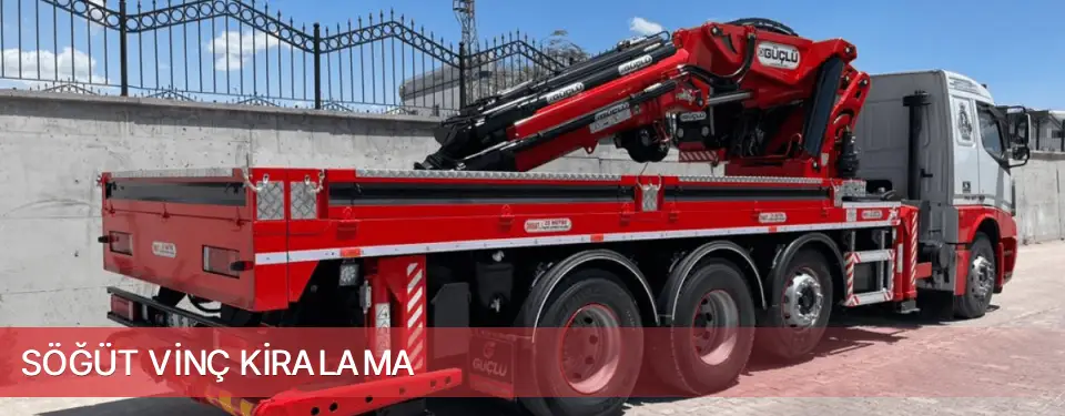 Söğüt İlçemi Vinç Kiralama